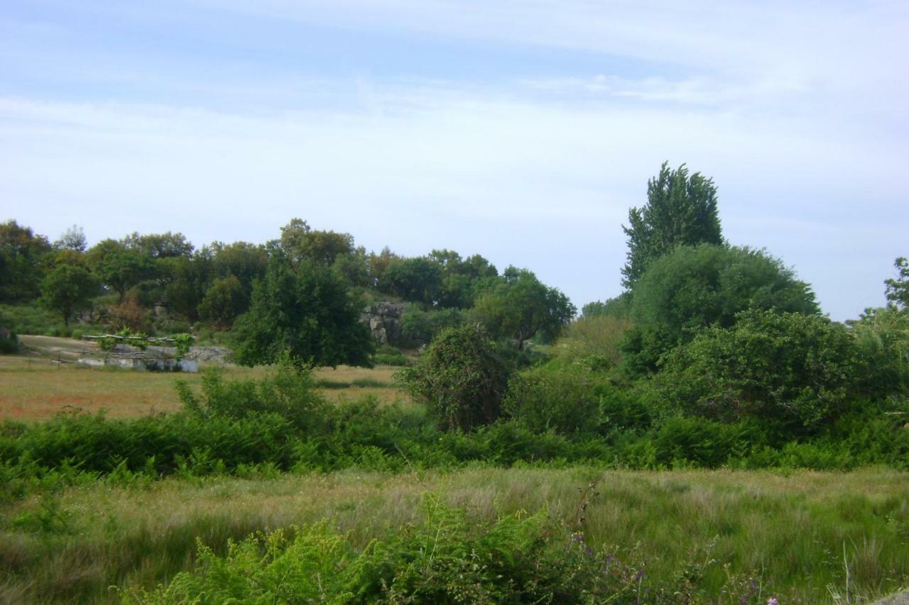 Tapada Da Beira Farm stay *