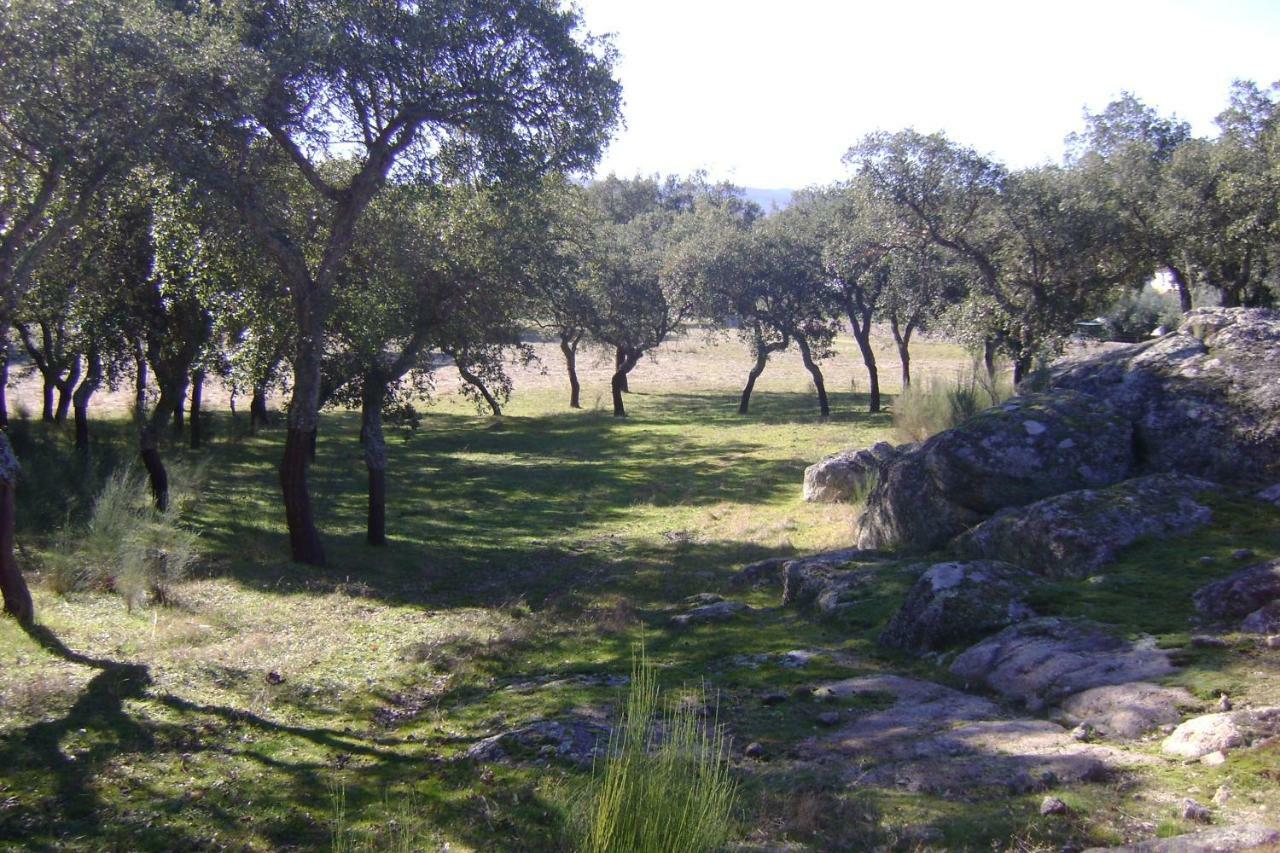 Tapada Da Beira Farm stay *