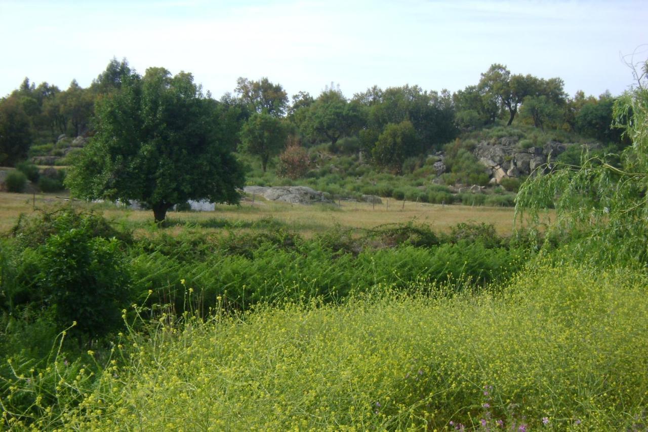 Tapada Da Beira Marvao (Portalegre)
