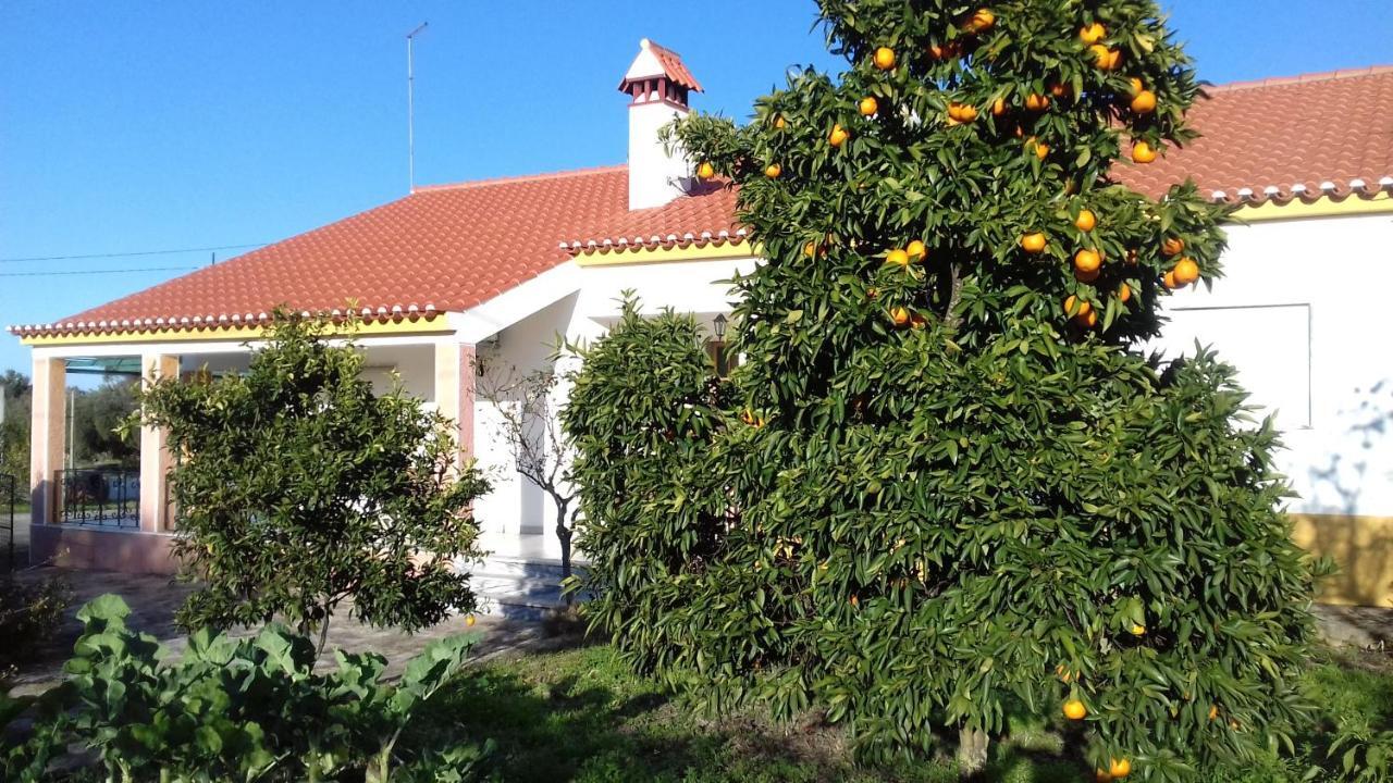 Tapada Da Beira Farm stay *